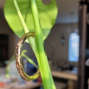 New Gold Earring hoops 2"